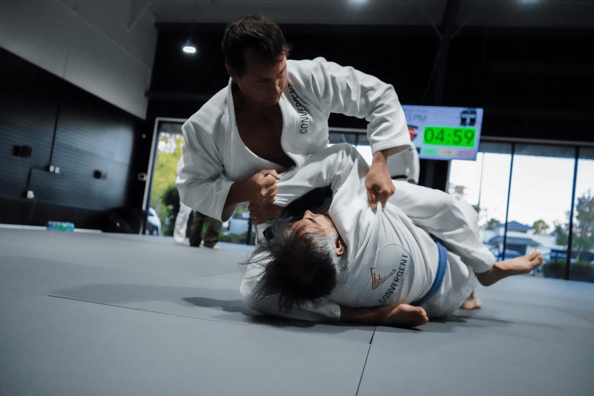 Dollamur Martial Arts Products: The Complete 2026 Lineup