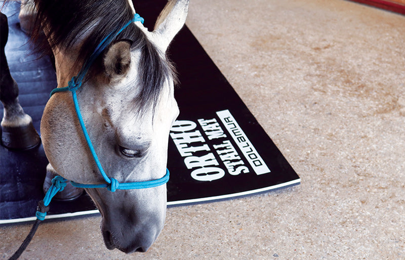 Ortho Horse Stall Mats