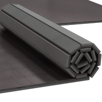 10’x10’ BJJ/Jiu-Jitsu Mat For Home