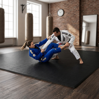 10’x10’ BJJ/Jiu-Jitsu Mat For Home