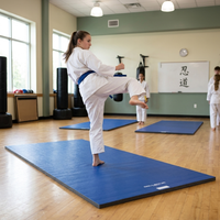 5'x10' Martial Arts Mat for Home