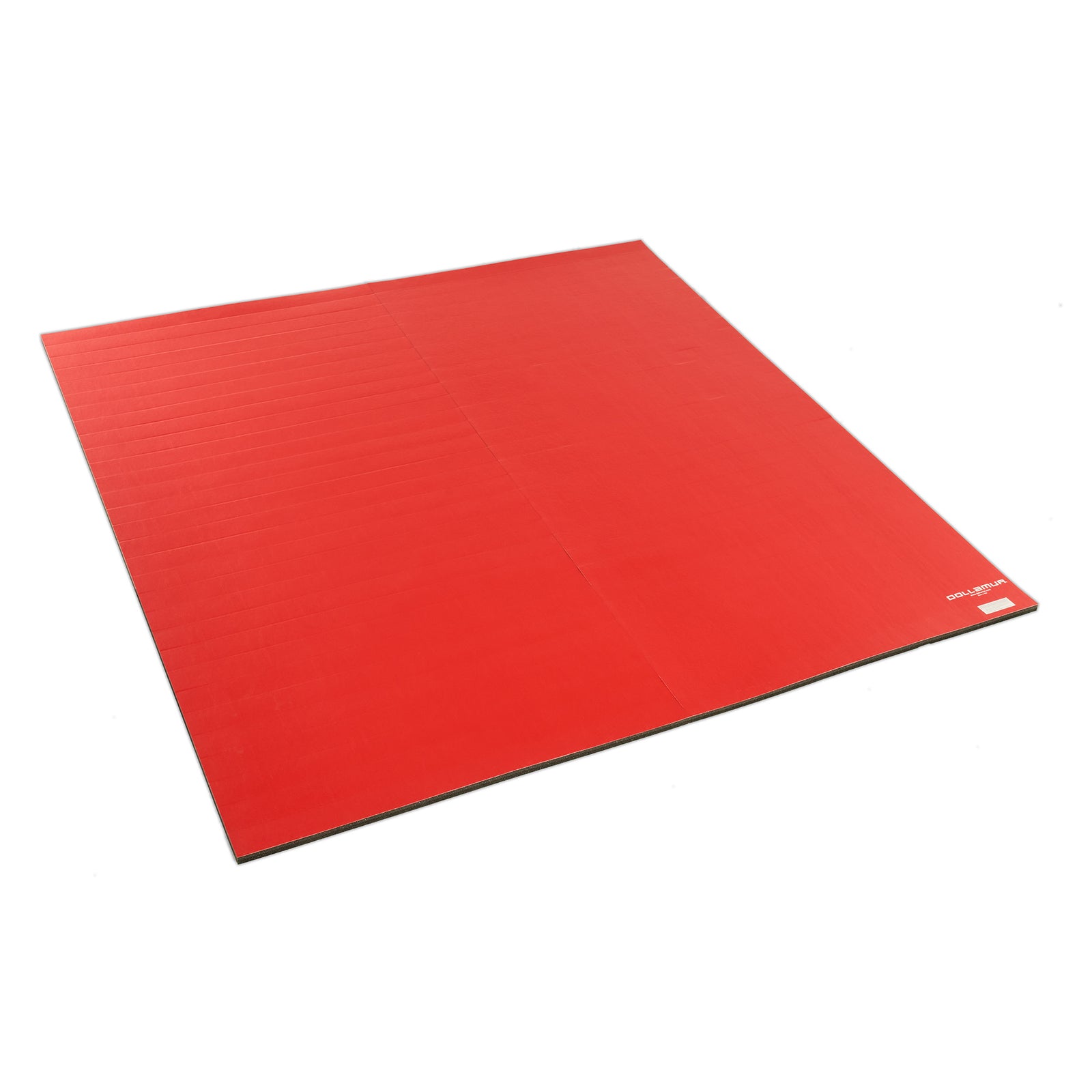 10’x10’ Home Wrestling Mats