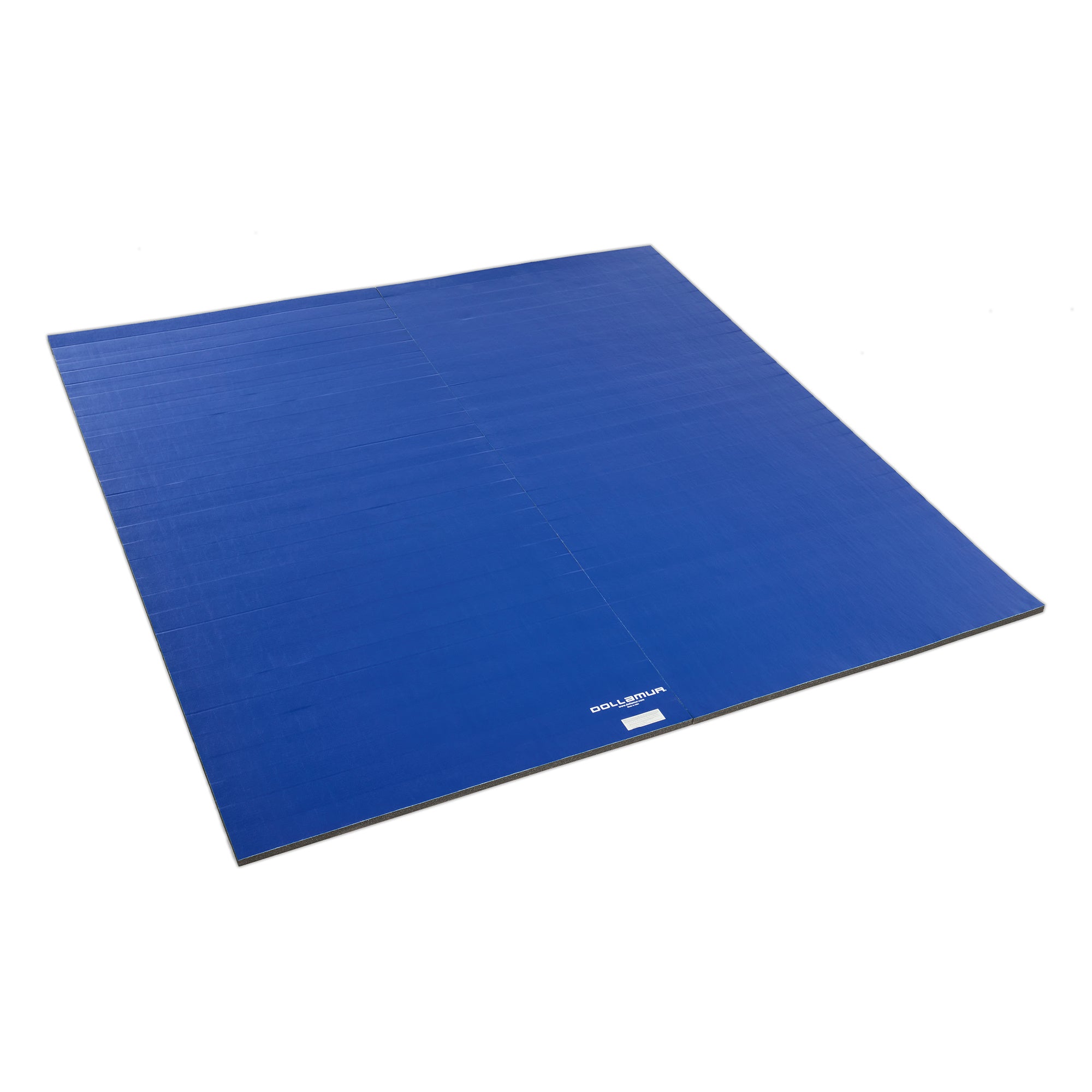 10'x10' Home Wrestling Mats – Dollamur