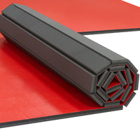 10’x10’ Home Wrestling Mats