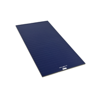 5'x10' Home Wrestling Mat