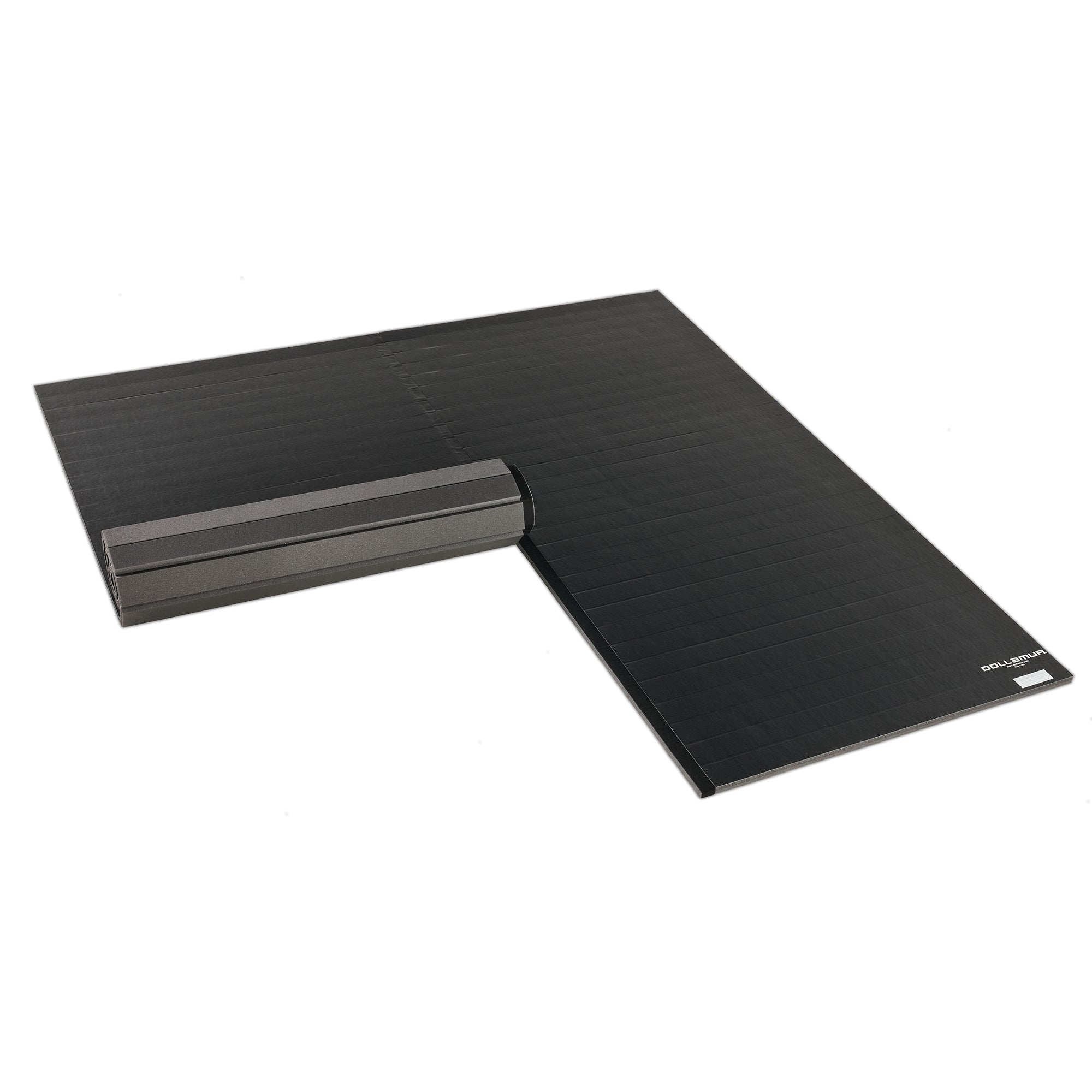 10'x10' Home Wrestling Mat, Tapeless | Dollamur
