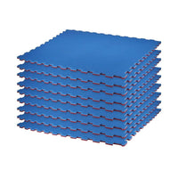 Color Reversible Puzzle Mat Bundle -Includes 9 Pieces