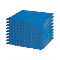 Color Reversible Puzzle Mat Bundle -Includes 9 Pieces