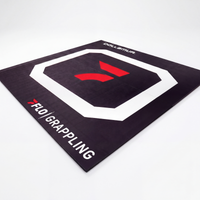 10'x10' FloGrappling Grappling Mat for Home, Tapeless