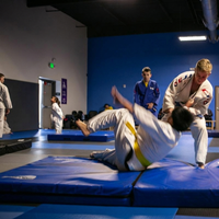 Landing & Crash Pads -Multiple Sizes & Colors