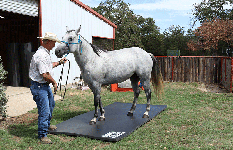 Ortho Horse Stall Mats