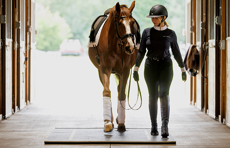 portable horse stall mats