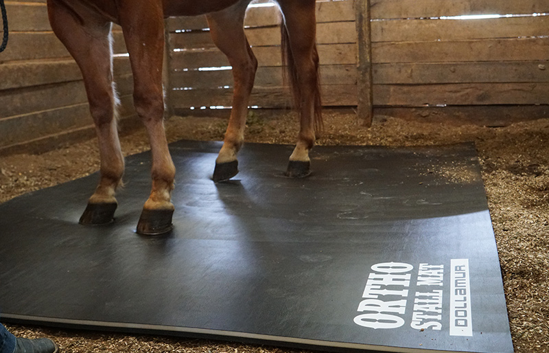 Dollamur Stall Mats
