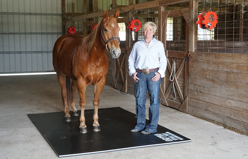 Ortho Horse Stall Mats