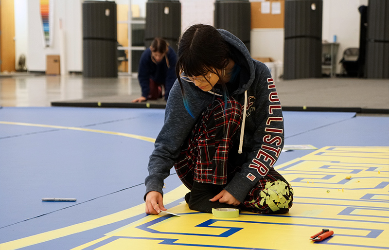 Custom Wrestling Mat Painting by a Skilled Dollamur Artist