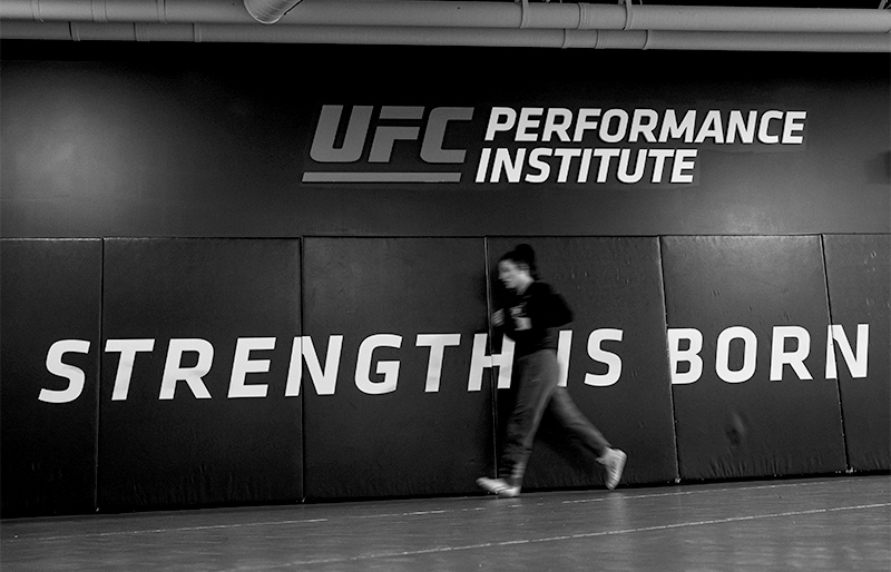 Custom Tatami Mat and Wall Pads Made by Dollamur for UFC