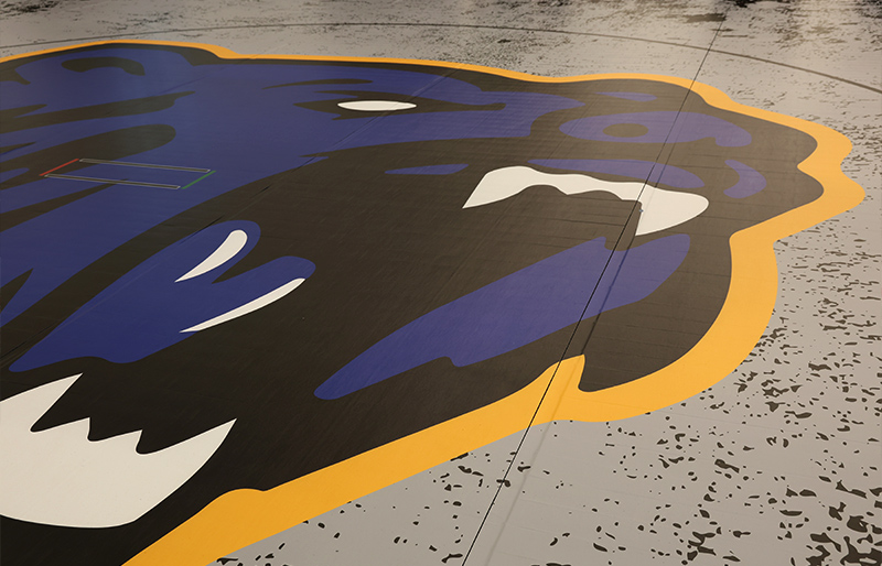 Custom Wrestling Mat Artwork by Dollamur