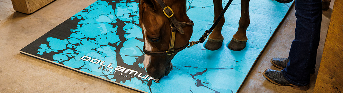 Horse Stall Mats by Dollamur