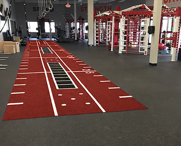 Indoor Turf & Sled Tracks