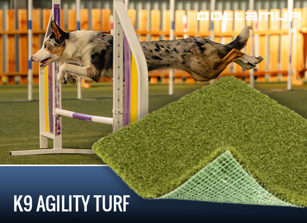 Turf for AKC Training Agility PL307