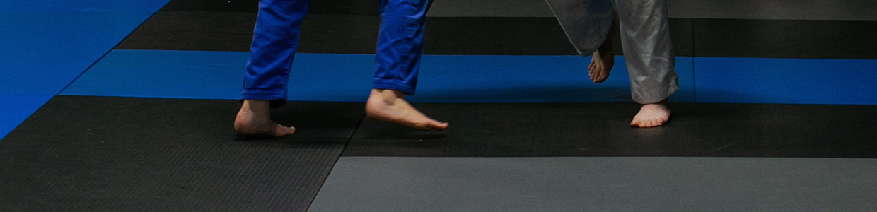 Martial Arts Mats and Swain Mats