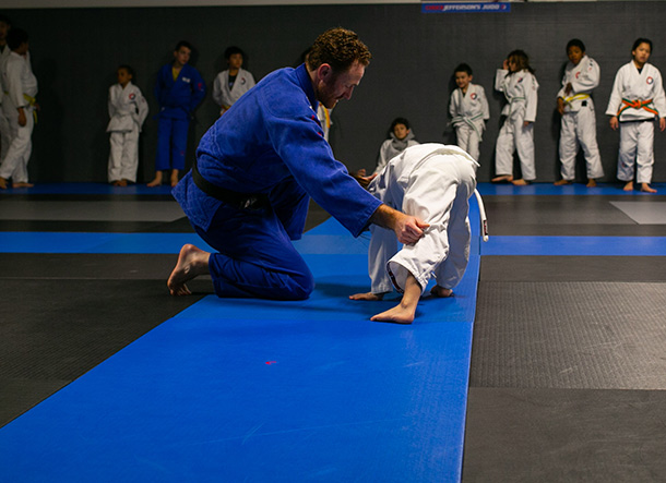 Martial Arts Mats and Swain Mats