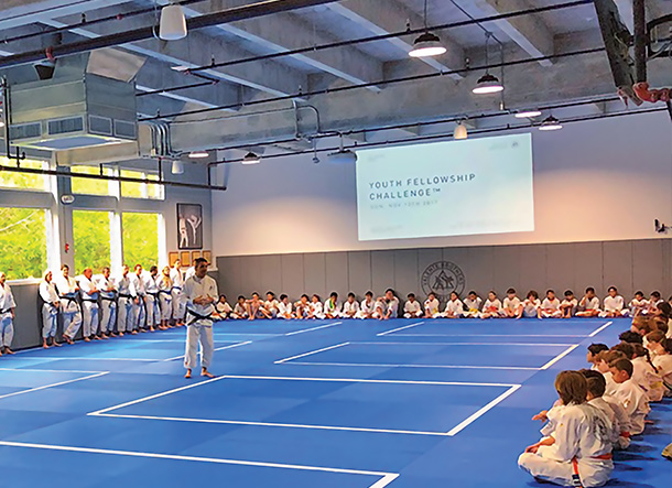 Dollamur Wood backed rigid wall pads